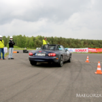 organizacja imprez i eventów motoryzacyjnych